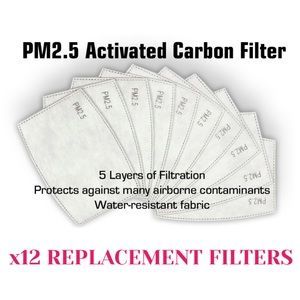 Set of 12 PM2.5 Activated Carbon Filters